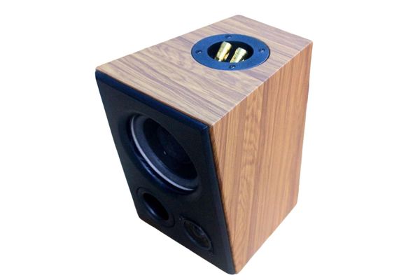 Loa vệ tinh V51C - 30w (1 chiếc)