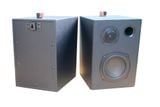 Loa vệ tinh V49 (số lượng 1 con)