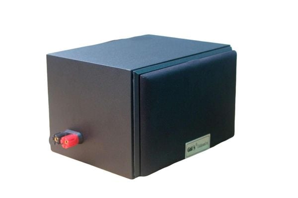 Loa vệ tinh V22 - 22w