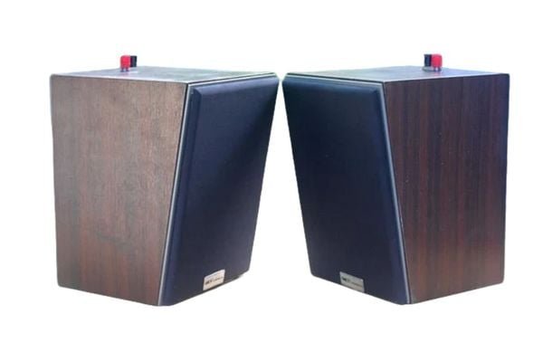 Loa vệ tinh V50  (1 con)