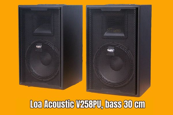 Loa Acoustic V258PU Goldsound (Số lượng 1 loa): loa bass 30 cm, treble kèn, kích thước rộng 39 cm, cao 60.5 cm, sâu 39 cm, phủ da PVC cao cấp, bảo hành dài hạn 5 năm.
