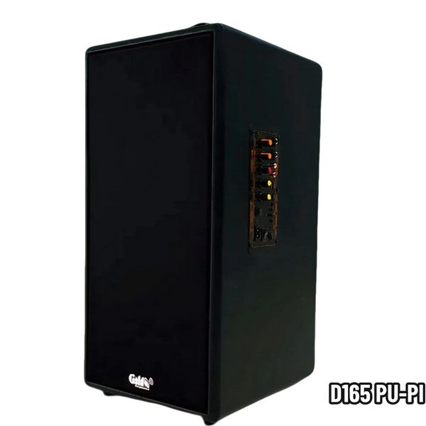 Loa di động D165PU-PI, pin 4-6h, công suất 165w, bass 20 cm, treble 10 cm, bluetooth 5.0, cổng cắm Micro, cổng rca, khe usb, thiết kế loa thùng gỗ cao 57 cm, rộng 28 cm, sâu 30 cm. Bảo hành 12 tháng