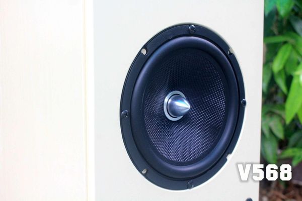 Loa Hi-End V568 (loa cây)