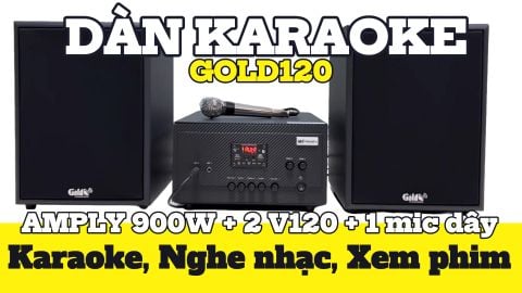 Hàng trưng bày: DÀN KARAOKE GOLD120 (AMPLY 900W + 2 V120+ 1 micro có dây)