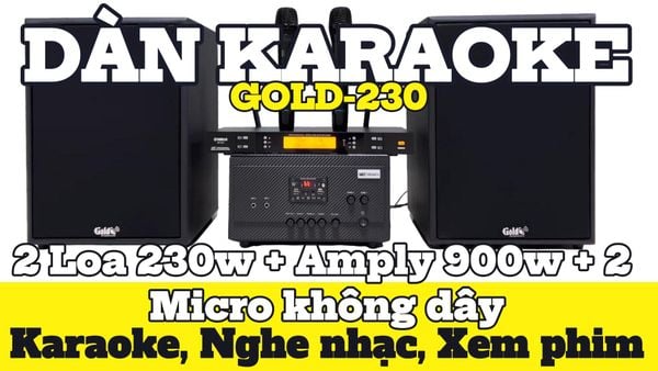 Dàn KARAOKE GOLD-230 (2 loa 230w + 1 amply 900w + 2 Micro không dây)