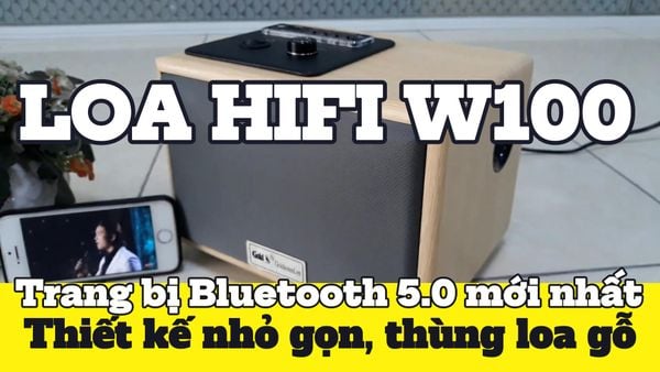 Loa W100