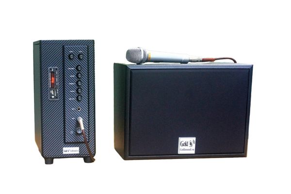 Loa trường học Gold4Edu E420