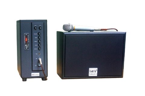 Loa trường học Gold4Edu E420