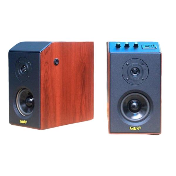 Loa vi tính GS51 Basic