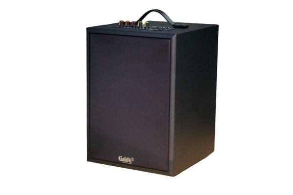 Loa Bluetooth G120K Goldsound (120w, Bluetooth 5.0, RCA, USB)