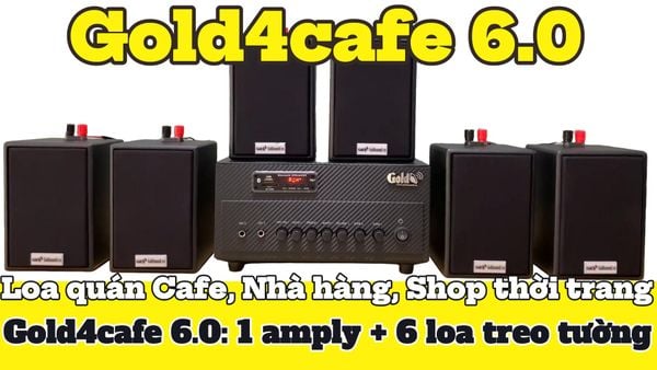 [Diện tích 100m2 + 2 Kênh] Gold4cafe 6.0 (01 amply + 06 loa treo tường), Amply 2 vùng âm lượng, loa được thiết kế riêng cho quán, bật lớn không tạp âm, bảo hành dài hạn 5 năm.