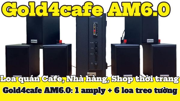 [Diện tích 100m2] Gold4cafe AM6.0_SG (01 amply + 06 loa treo tường), loa được thiết kế riêng cho quán, bật lớn không tạp âm, bảo hành dài hạn 5 năm.