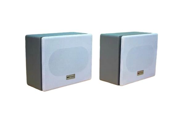 Loa âm trần VAT30 30W (Số lượng 1 con) được sử dụng nghe nhạc trong quán cà phê, nhà hàng, spa