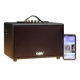 Loa Goldsound G24, công suất 80w, Bass 4 inch, Tress 3 inch, 2 cổng micro, Bluetooth 5.0, thiết kế loa thùng gỗ cao 20 cm, rộng 20 cm, sâu 32 cm