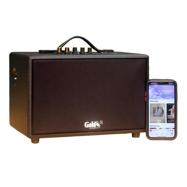 Loa Goldsound G24, công suất 80w, Bass 4 inch, Tress 3 inch, 2 cổng micro, Bluetooth 5.0, thiết kế loa thùng gỗ cao 20 cm, rộng 20 cm, sâu 32 cm