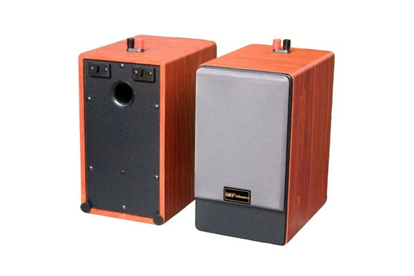 Loa vệ tinh treo tường V31 (1 loa)