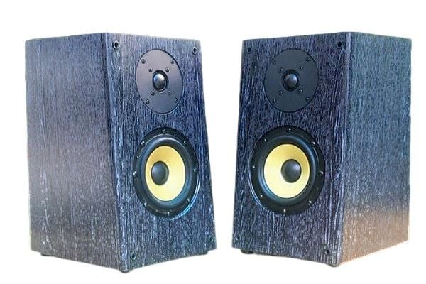 Loa GS31 Pro 1