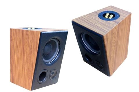 Loa vệ tinh V51C - 30w (1 chiếc)