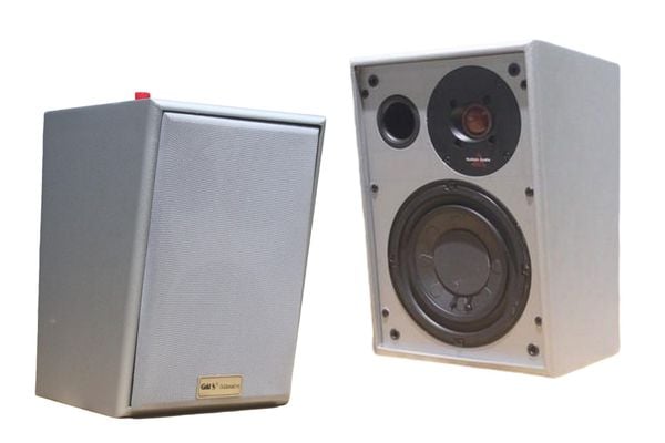 Loa treo tường lớp học VE-38