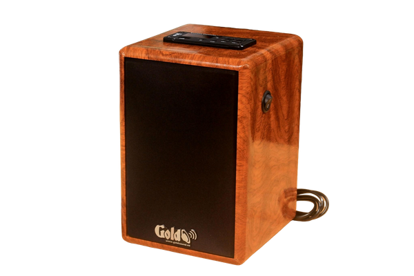 Loa để bàn HiFi Mini Goldsound G22, công suất 30w, Bass 3 inch, Tress 2 inch, bluetooth 5.0, cổng rca, khe usb, thiết kế loa thùng gỗ cao 22 cm, rộng 15 cm, sâu 15.5 cm. Bảo hành 12 tháng