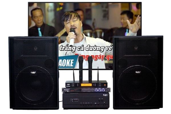 Dàn âm thanh sân khấu, hội trường, karaoke V358PU Goldsound (loa V358PU, cục đẩy A958PU-2K, Micro không dây, vang...)