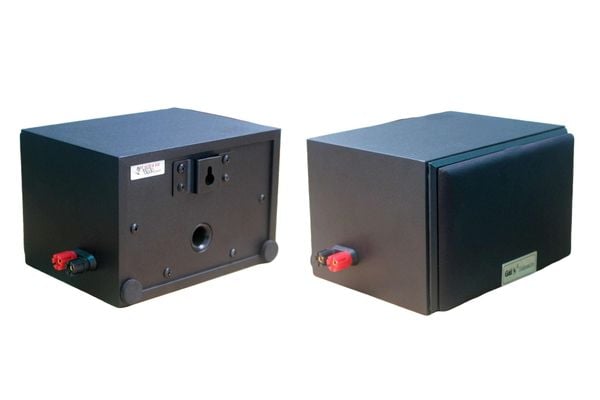 Loa vệ tinh V22 - 22w