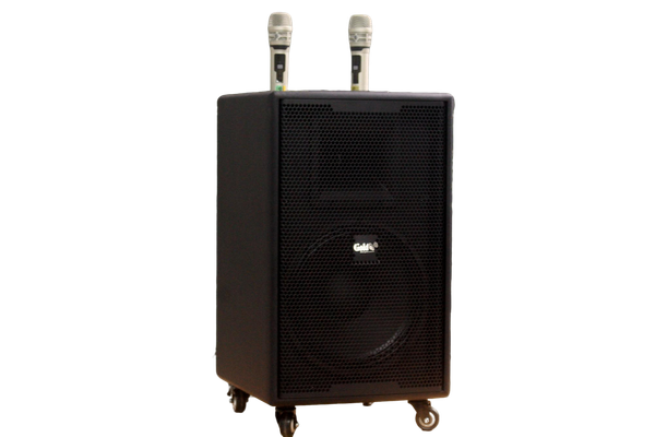 Loa kéo D750 Goldsound (Bass 30cm, kèm 2 Micro, pin sạc) chơi tốt ở mọi không gian: Gia đình, quán cafe, cửa hàng, khu vui chơi, lớp học, trung tâm đào tạo, các buổi dã ngoại, party, những buổi biểu diễn đường phố
