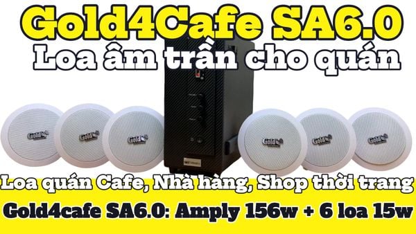 Bộ loa âm trần thông báo phát nhạc nền tự động cao cấp SA6.0_DA (amply 156w + 6 loa âm trần 15w), loa được thiết kế riêng cho quán, bật lớn không tạp âm, bảo hành dài hạn 12 tháng