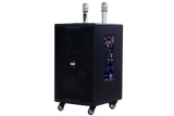 Loa kéo D750 Goldsound (Bass 30cm, kèm 2 Micro, pin sạc) chơi tốt ở mọi không gian: Gia đình, quán cafe, cửa hàng, khu vui chơi, lớp học, trung tâm đào tạo, các buổi dã ngoại, party, những buổi biểu diễn đường phố