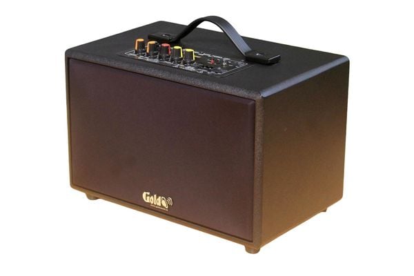 Loa Goldsound G24, công suất 80w, Bass 4 inch, Tress 3 inch, 2 cổng micro, Bluetooth 5.0, thiết kế loa thùng gỗ cao 20 cm, rộng 20 cm, sâu 32 cm