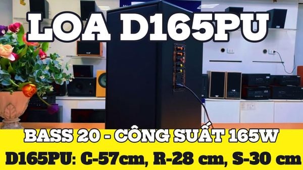 Loa trường học D165PU + 1 micro dây: công suất 165w, bass 20 cm, treble 10 cm, bluetooth 5.0, cổng cắm Micro, cổng rca, khe usb, thiết kế loa thùng gỗ cao 57 cm, rộng 28 cm, sâu 30 cm. Bảo hành 12 tháng