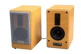 Loa HIFI H50W