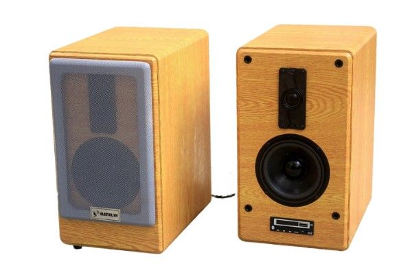 Loa HIFI H50W