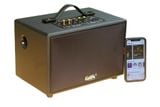 Loa Goldsound G24, công suất 80w, Bass 4 inch, Tress 3 inch, 2 cổng micro, Bluetooth 5.0, thiết kế loa thùng gỗ cao 20 cm, rộng 20 cm, sâu 32 cm