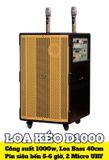 Loa kéo D1000 Goldsound (Bass 40cm, 1000w, kèm 2 Micro, pin 5-6H)