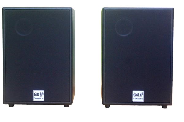 Loa Acoustic, hội trường V230_SG Goldsound (số lượng 01 loa), công suất 200w, loa bass 25 cm, treble 10 cm, kích thước rộng 32 cm, cao 47 cm, sâu 31 cm, bảo hành dài hạn 5 năm.