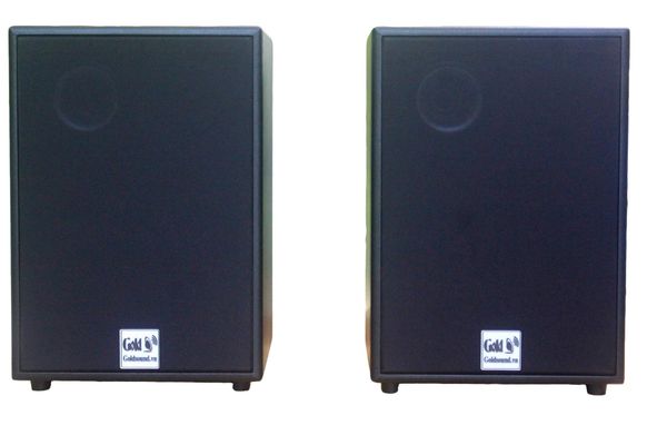 Loa Acoustic, hội trường V230_TH Goldsound (Số lượng 1 loa) công suất 200w, loa bass 25 cm, treble 10 cm, kích thước rộng 32 cm, cao 47 cm, sâu 31 cm, bảo hành dài hạn 5 năm.