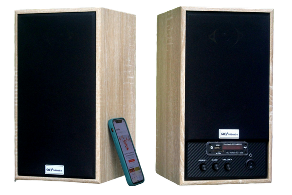Loa GS31 Bookshelf 5 TH, công suất 160w, Bass 4 inch, Tress 2 inch, bluetooth 5.0, cổng rca, khe usb, thiết kế loa thùng gỗ cao 38 cm, rộng 21 cm, sâu 21.5 cm. Bảo hành 12 tháng