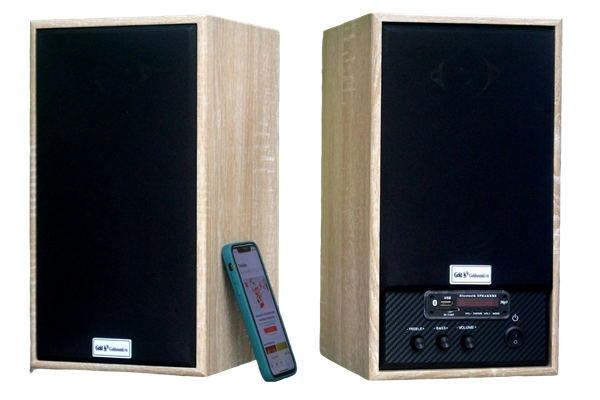 Loa GS31 Bookshelf 5 SG,  công suất 160w, Bass 4 inch, Tress 2 inch, bluetooth 5.0, cổng rca, khe usb, thiết kế loa thùng gỗ cao 38 cm, rộng 21 cm, sâu 21.5 cm. Bảo hành 12 tháng