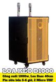 Loa kéo D1000 Goldsound (Bass 40cm, 1000w, kèm 2 Micro, pin 5-6H)