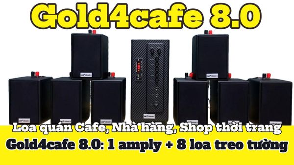 [Diện tích 120m2 + 2 Kênh] Gold4cafe_DA 8.0 (01 Amply + 08 loa treo tường), Amply 2 vùng âm lượng, loa được thiết kế riêng cho quán, bật lớn không tạp âm, bảo hành dài hạn 5 năm.