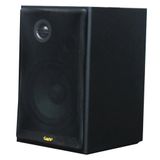 Loa vệ tinh V100 - 100w (1 loa)