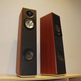 Loa cây V300 (loa vệ tinh)