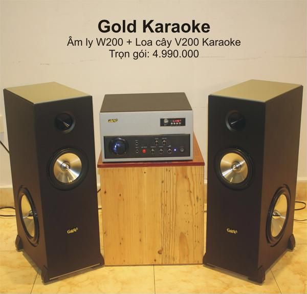 Loa cafe, Loa nhà hàng: Dàn Gold Hifi Âm ly rời 200w (Bluetooth) + 2 Loa Cây V200