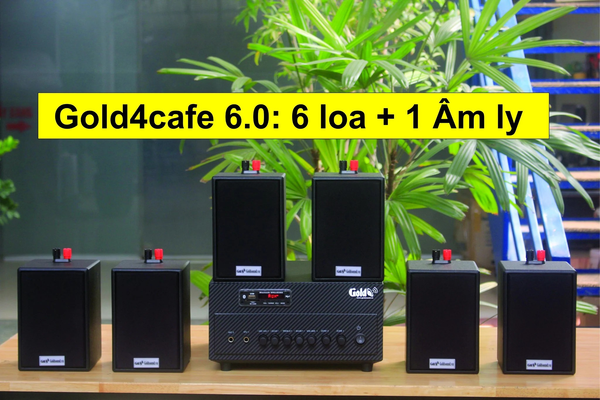 11 lựa chọn loa cho quán cafe, loa nhà hàng, Amply 4 - 6 vùng âm lượng, loa được thiết kế riêng cho quán, bật lớn không tạp âm, miễn phí công lắp đặt, bảo hành dài hạn 5 năm.