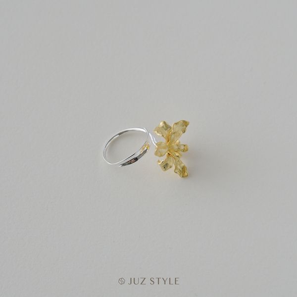  Nhẫn bạc mạ vàng Iris 