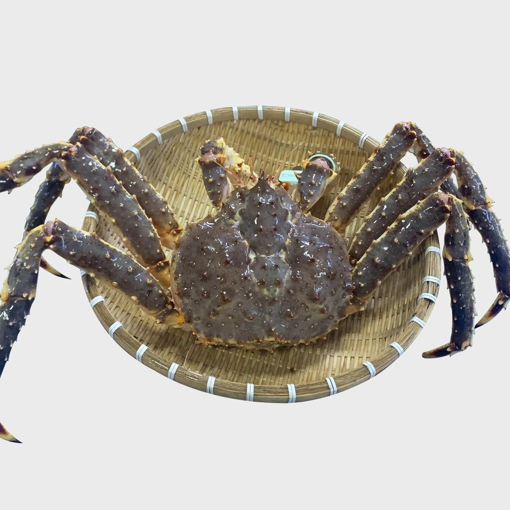 Cua Hoàng Đế - King Crab Sống