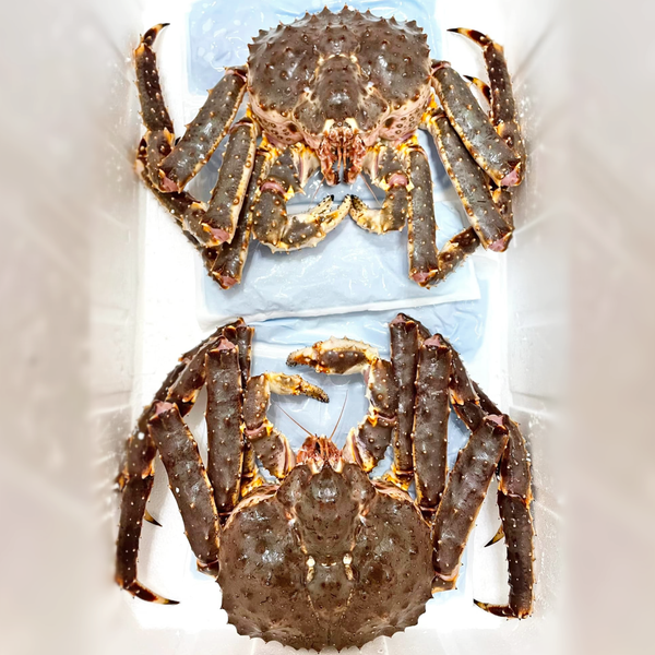 cua hoang de king crab dong lanh