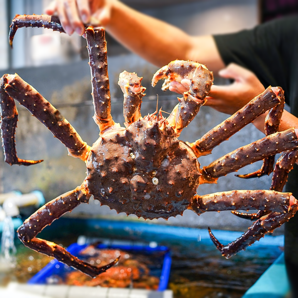 cua hoang de king crab do cai song