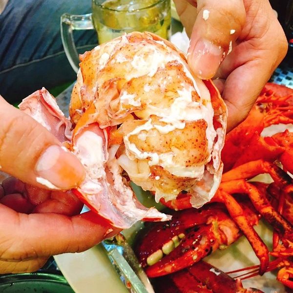 Tôm Hùm Alaska Nhỏ - 570,000đ